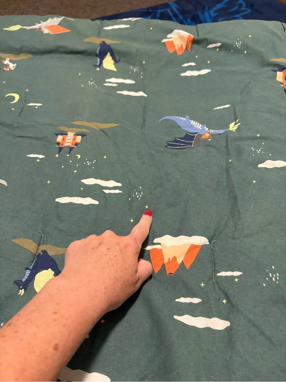 4 Piece Pillowfort Dragon Twin Bedding